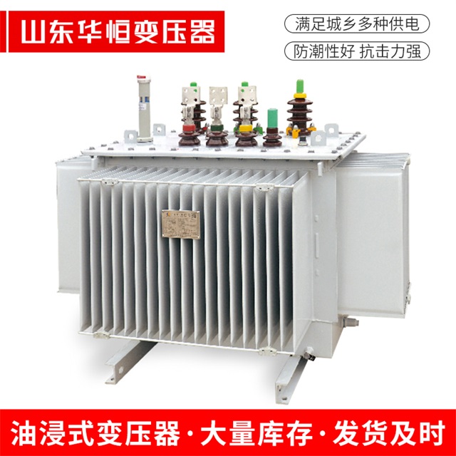 S13-10000/35平阴平阴平阴电力变压器
